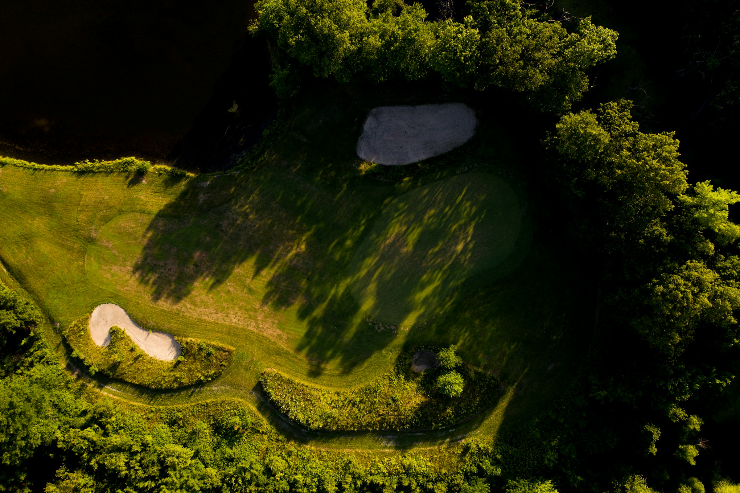 Sunlight tracing a fairway through trees, seen from above